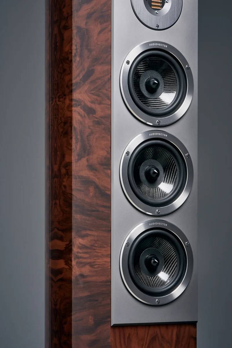 Audiovector R8 Arrete - Enceintes de type colonne haute-fidélité pour les audiophiles!