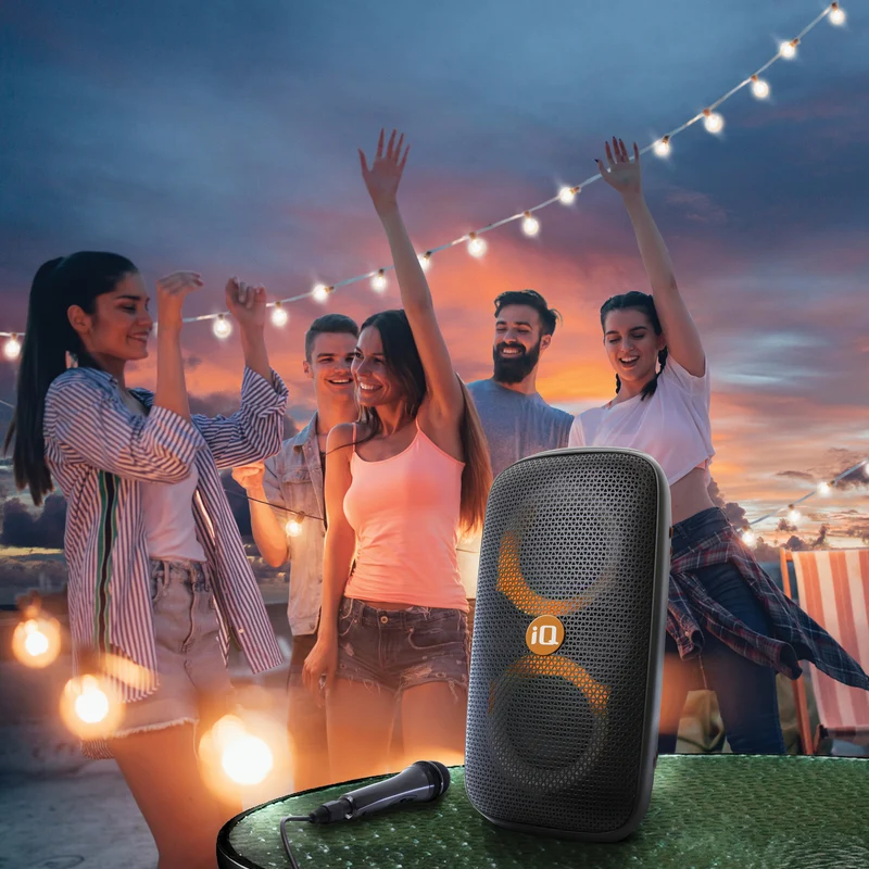 Haut-parleur de fête Bluetooth iQ Wave Party avec microphone filaire