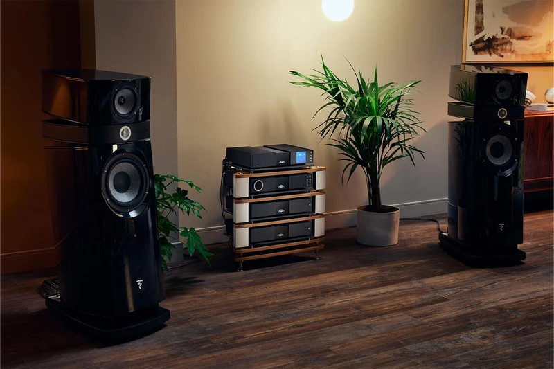 NAIM NAP350 - Amplificateur de puissance 175Watts/Mono