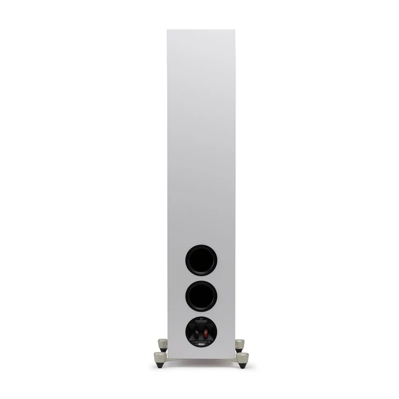 Motion Foundation F2 | Enceintes colonne (La paire)