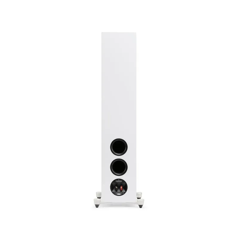 Motion Foundation F1 | Enceinte colonne (La paire)