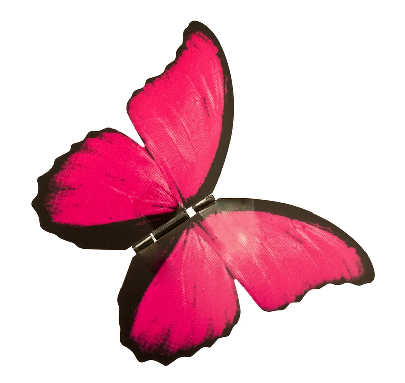 Papillon électronique