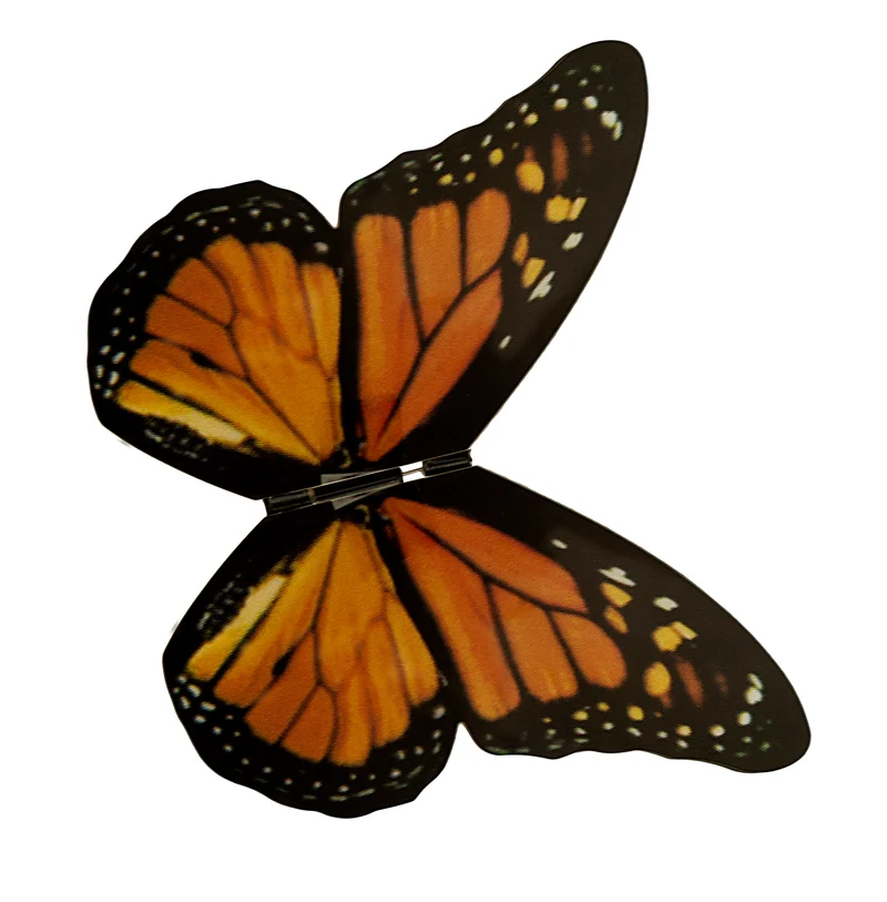 Papillon électronique