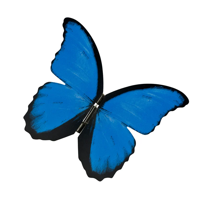 Papillon électronique