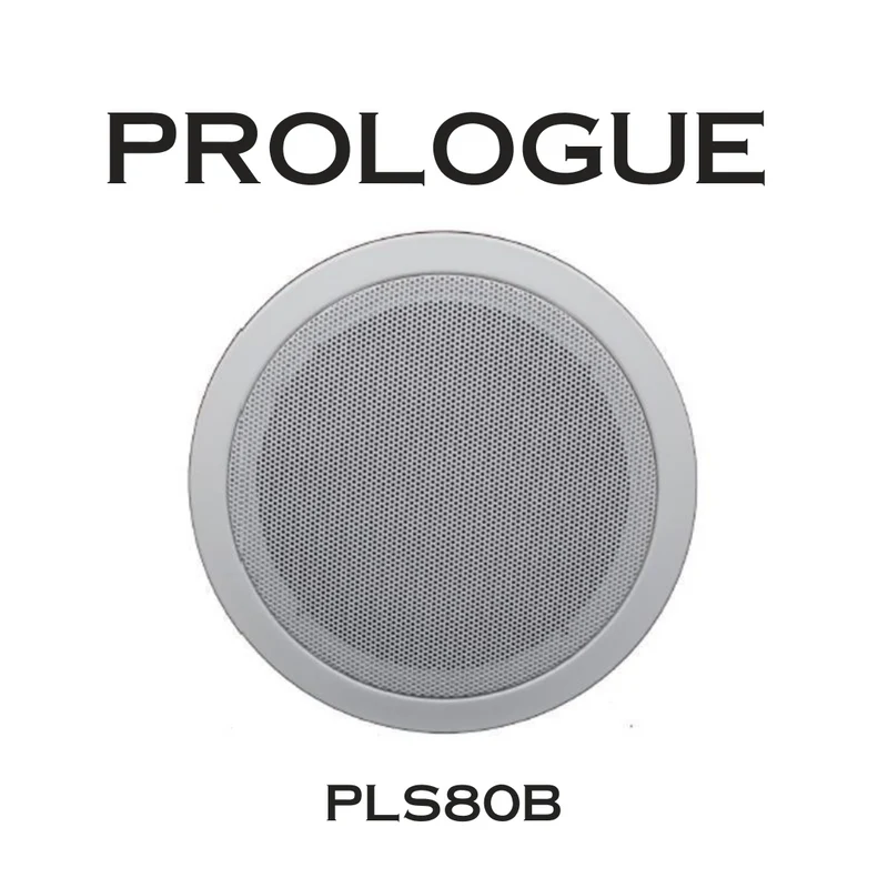 Haut-parleur de plafond 8" pour usage commercial