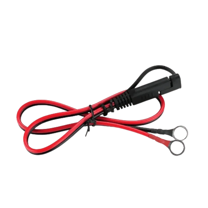 Chargeur intelligent pour batterie Plomb de véhicule 12V et 24V