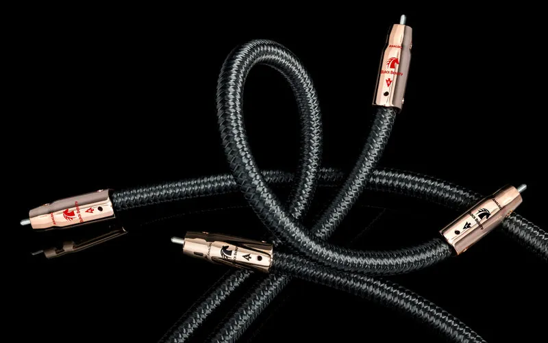 Audioquest Black Beauty - Câbles d'interconnexion RCA-RCA, zéro tech