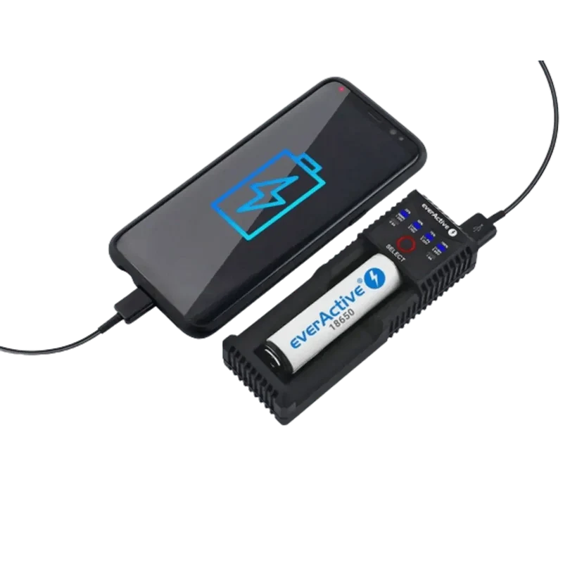 Chargeur pour 1 batterie, Li-Ion, LiFePO4 et Ni-MH