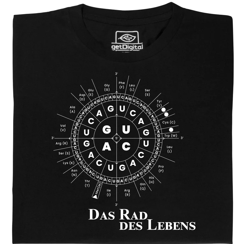 La roue de la vie