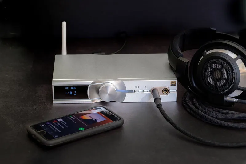iFi Audio NeoiDSD - Amplificateur d'écouteur/DAC 32 bits/768kHz/DSD