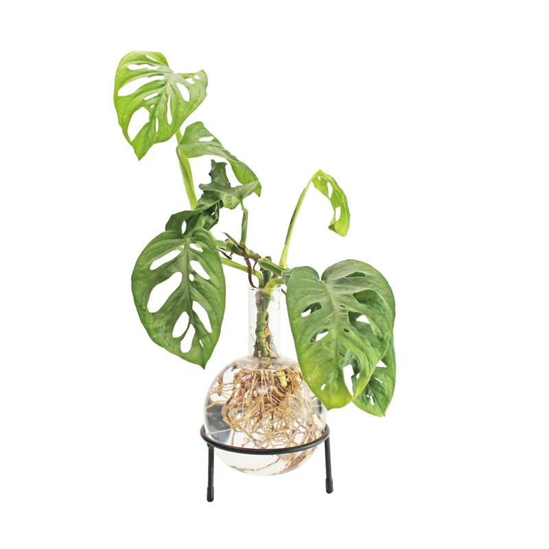 Hydrovase en forme de piston avec support
