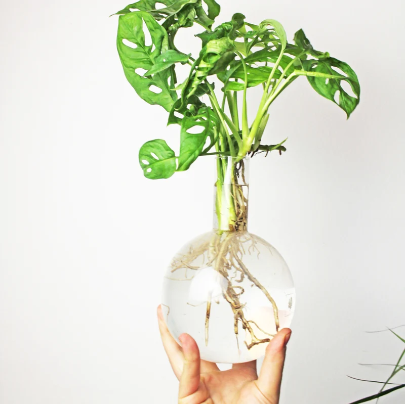 Hydrovase en forme de piston avec support