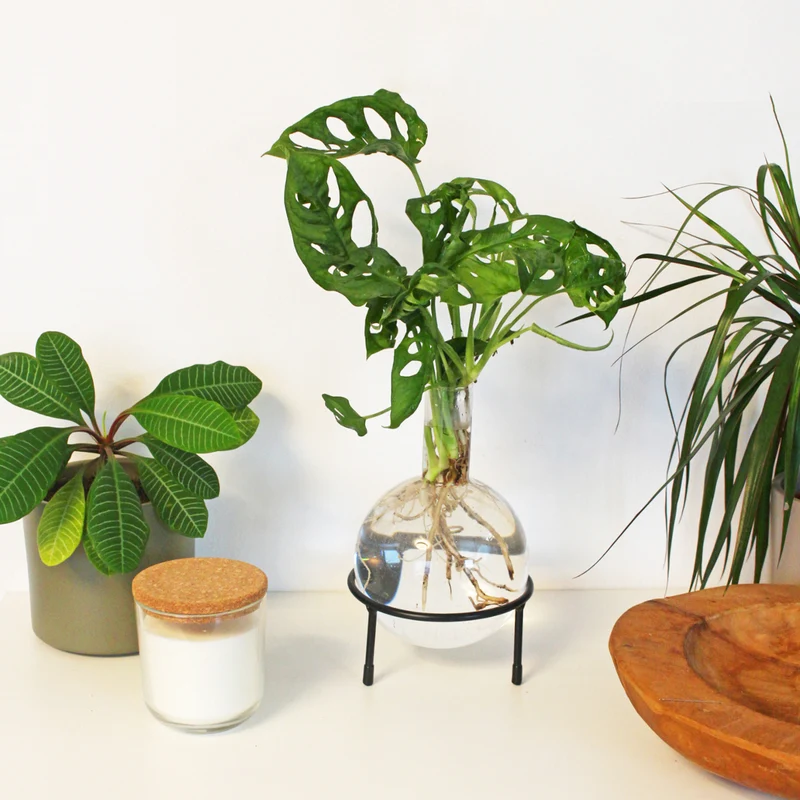 Hydrovase en forme de piston avec support