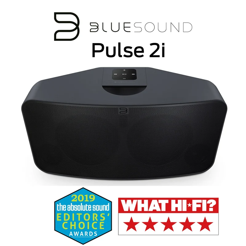Bluesound Pulse 2i - Haut-parleur sans fil Bluetooth Premium 150W