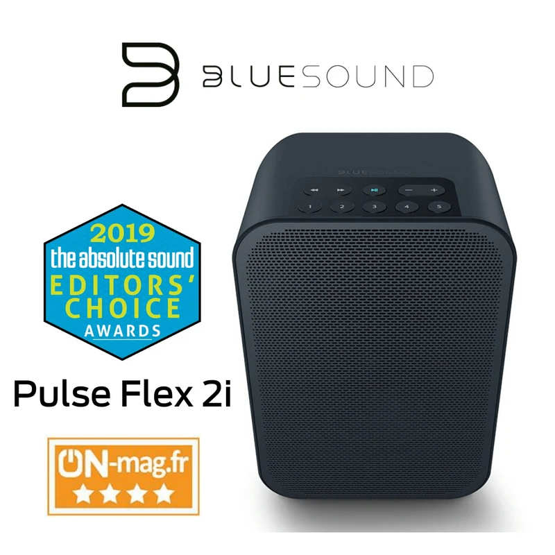 Bluesound Flex 2i - Haut-parleur multipièce sans fil compact