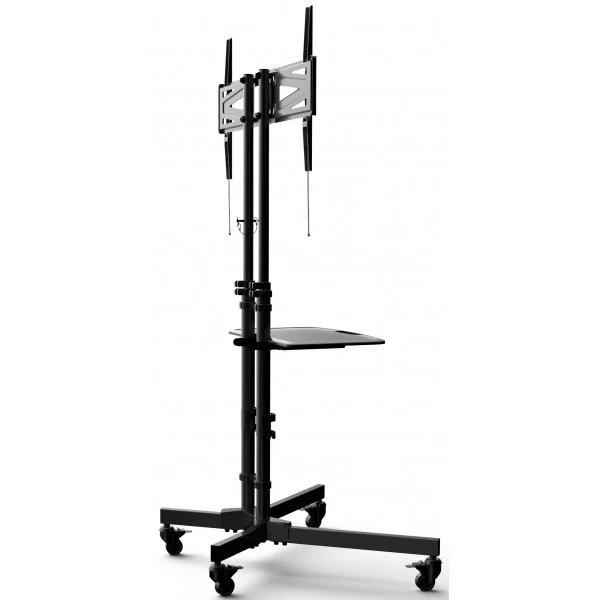 Support amovible universel PPA060 sur roulettes pour téléviseur 32" - 65"