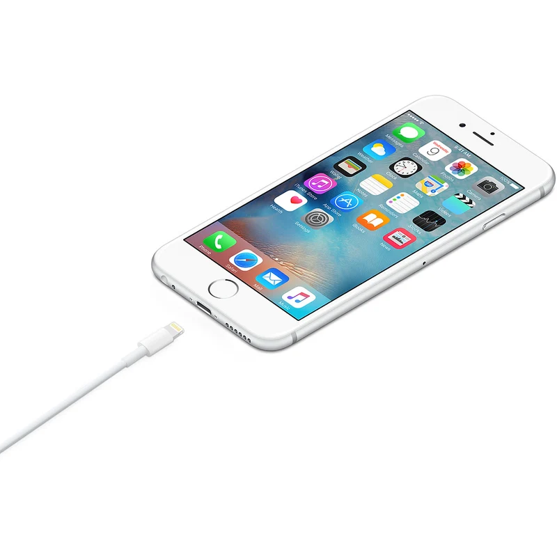 Câble Lightning vers USB (1 m)
